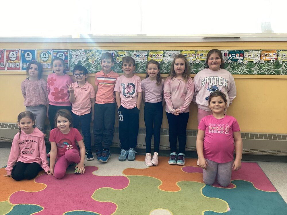 Journée du chandail rose